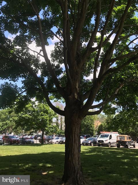 319 Playa Del Sol Cooper Landing Road Cherry Hill, NJ 08002 - Photo 16 of 31