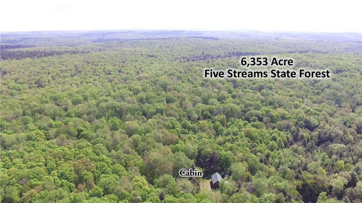 207 Cherry Lane German, NY 13040 - Photo 18 of 47