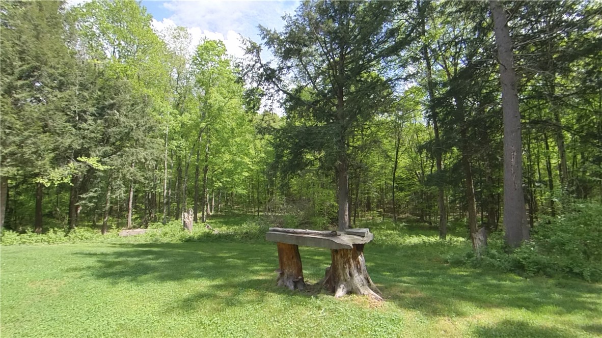 207 Cherry Lane German, NY 13040 - Photo 37 of 47