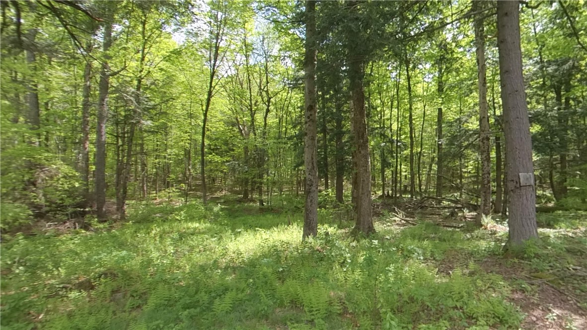 207 Cherry Lane German, NY 13040 - Photo 38 of 47