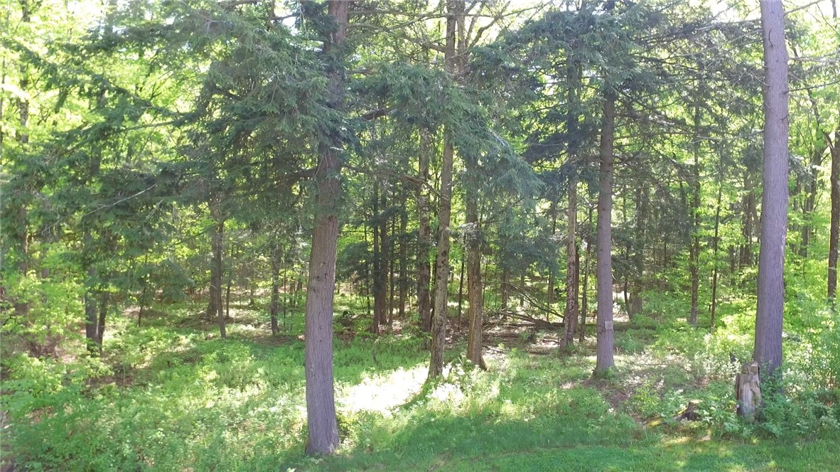 207 Cherry Lane German, NY 13040 - Photo 39 of 47