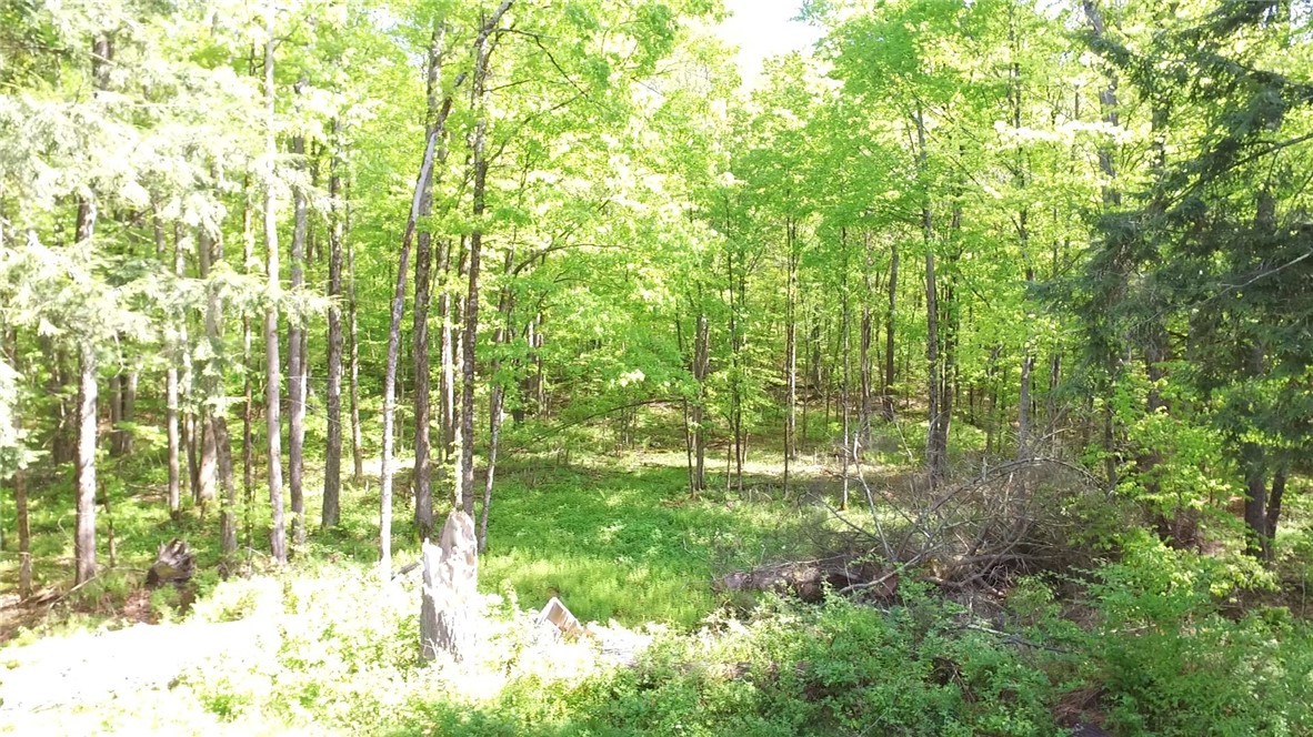 207 Cherry Lane German, NY 13040 - Photo 40 of 47