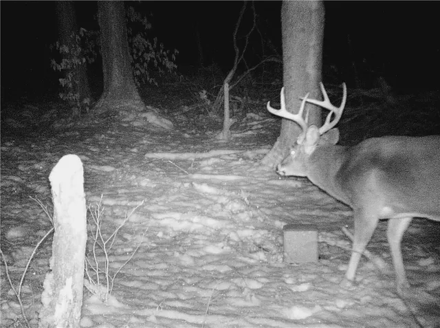 $159,900 | 207 Cherry Lane, German, NY 13040