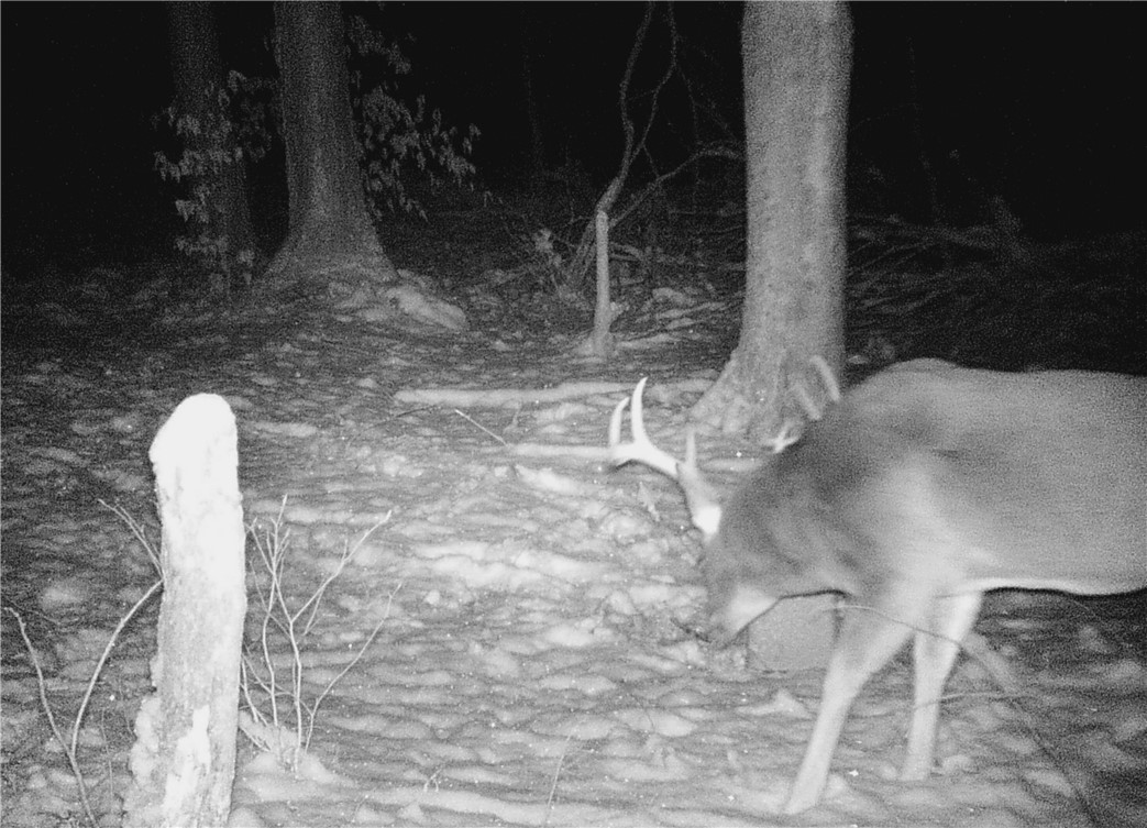 207 Cherry Lane German, NY 13040 - Photo 42 of 47