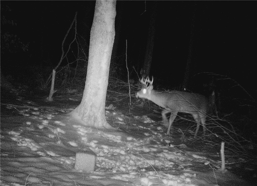 207 Cherry Lane German, NY 13040 - Photo 43 of 47