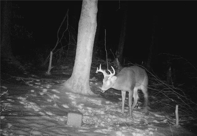 $159,900 | 207 Cherry Lane, German, NY 13040