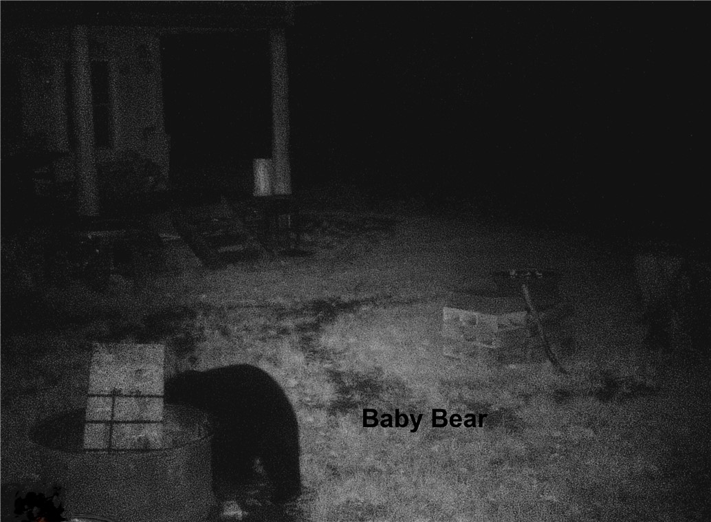 207 Cherry Lane German, NY 13040 - Photo 45 of 47