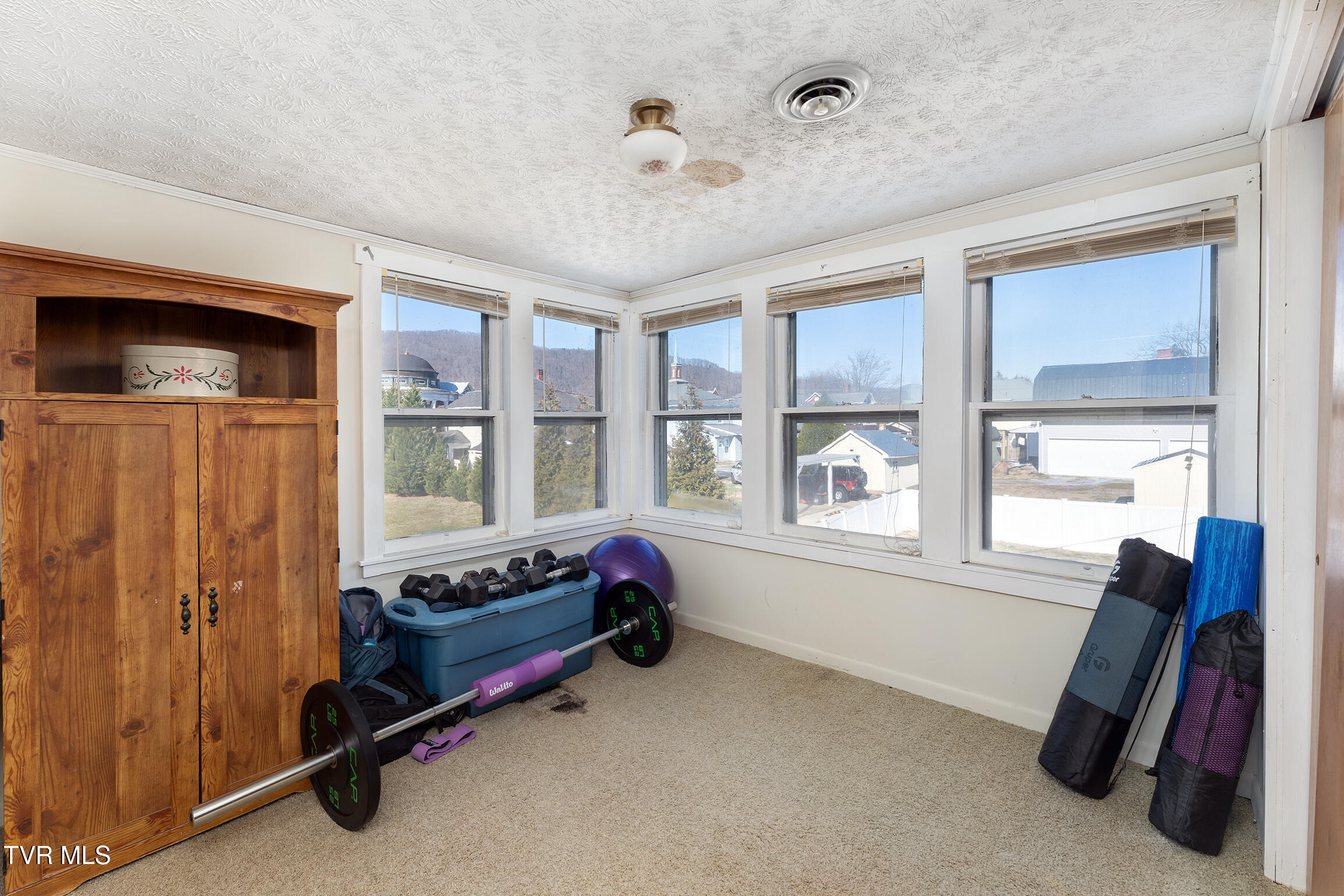 317 Gay Street Erwin, TN 37650 - Photo 14 of 31 317 Gay St26