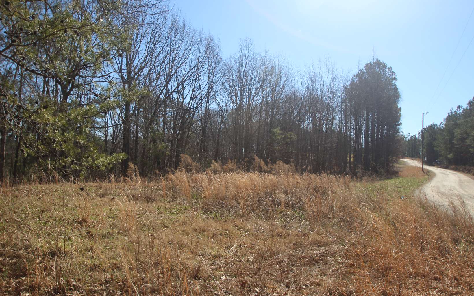 Log Round Mountain Road Ellijay, GA 30540 - Photo 1 of 1 Main View