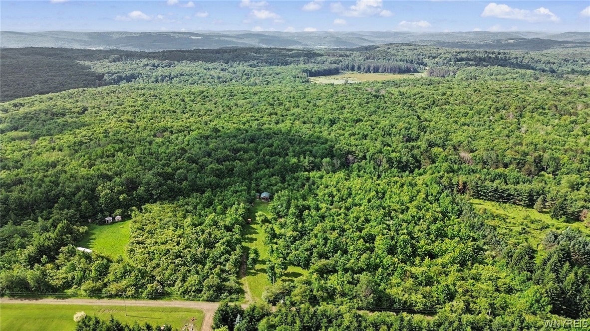 7240 New Hudson Road New Hudson, NY 14717 - Photo 22 of 33