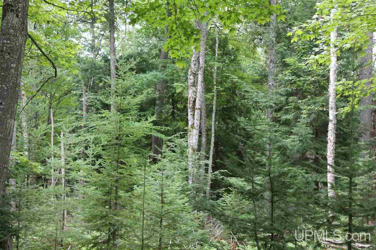 Tbd Carmody Road Lanse, MI 49946 - Photo 28 of 35 Gallery Image 28