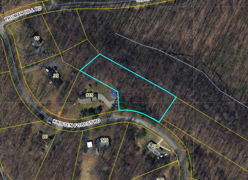 0 Kristen Forest Road Hardy, VA 24101 - Photo 3 of 12 GIS