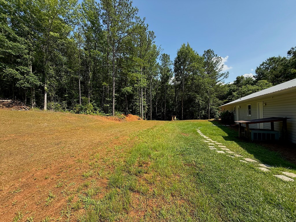 245 Lake Talbot Road Box Springs, GA 31801 - Photo 19 of 31 Gallery Image 19