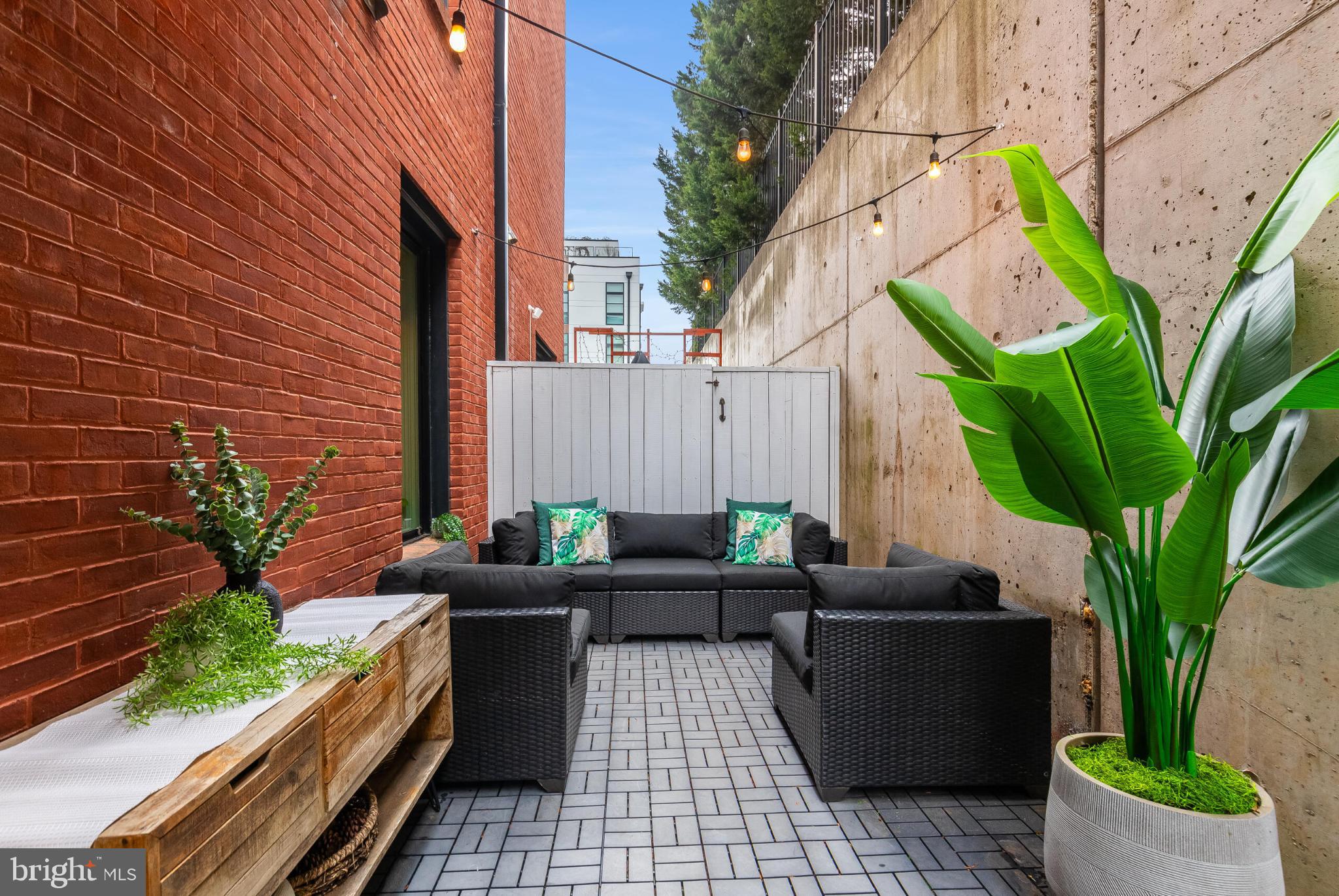a view of backyard with outdoor seating and plants