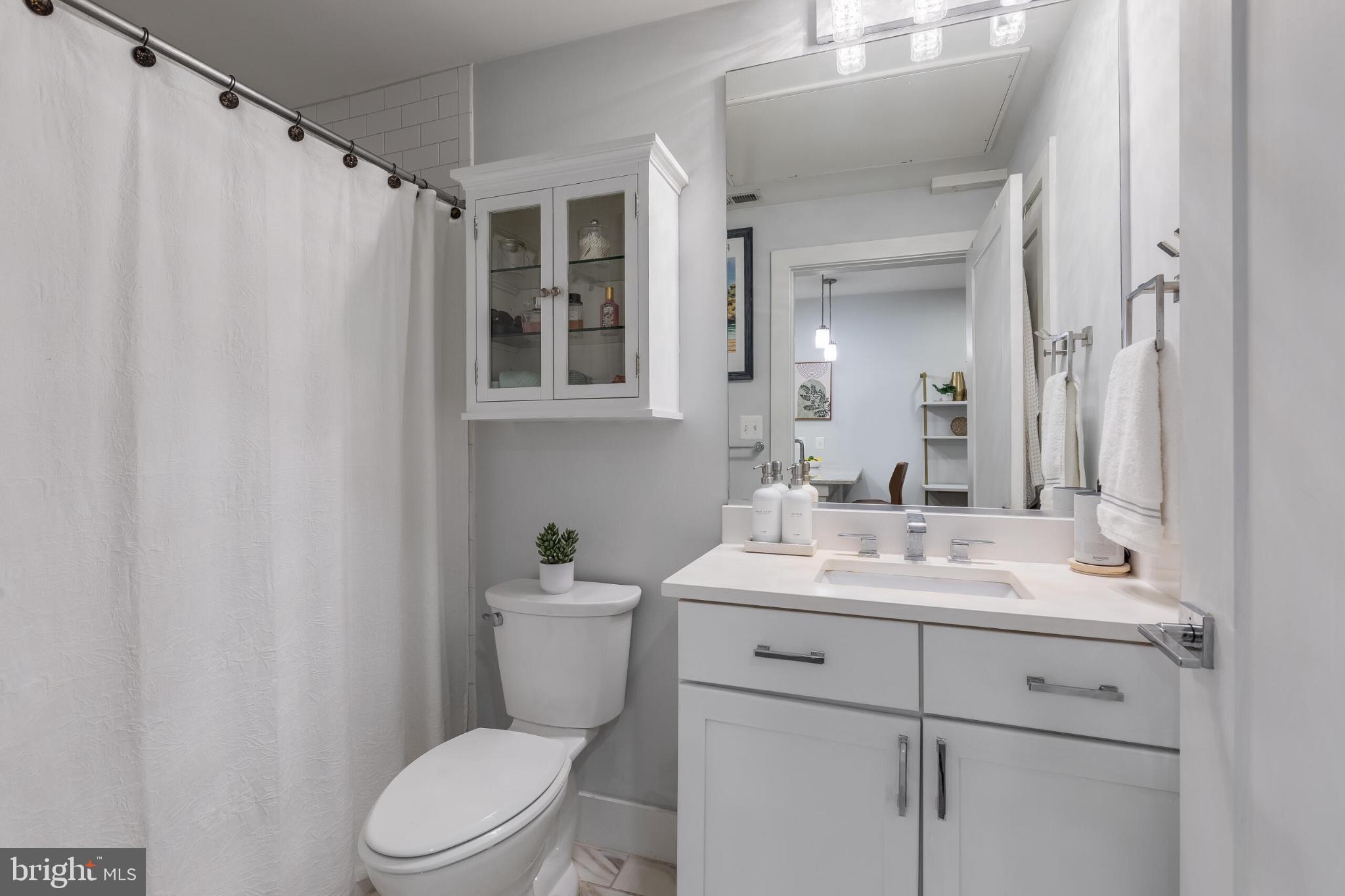 1412 Chapin Street Northwest, Unit 5 Washington, DC 20009 - Photo 15 of 23 a bathroom with a sink a toilet a mirror a vanity and shower