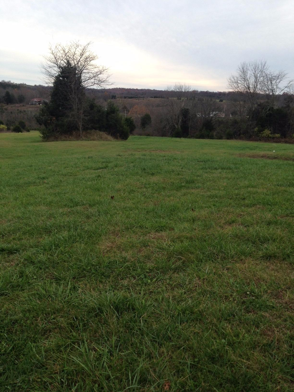 3295 Crooked Creek Road Berry, KY 41003 - Photo 11 of 15 Gallery Image 11