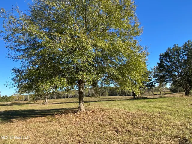 $92,000 | Byrd Road, Carriere, MS 39426