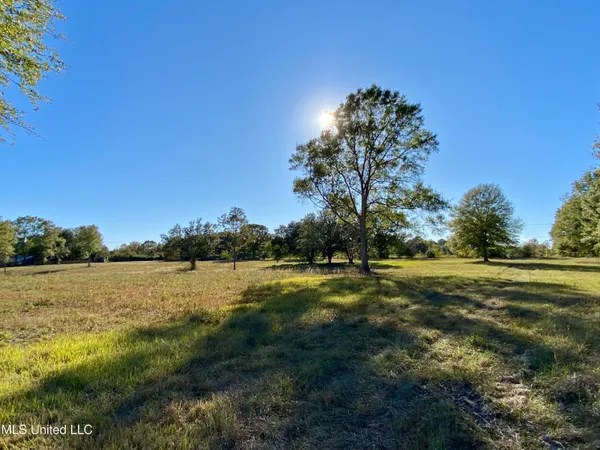 $92,000 | Byrd Road, Carriere, MS 39426