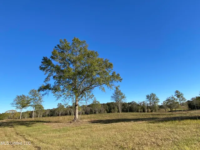 $92,000 | Byrd Road, Carriere, MS 39426