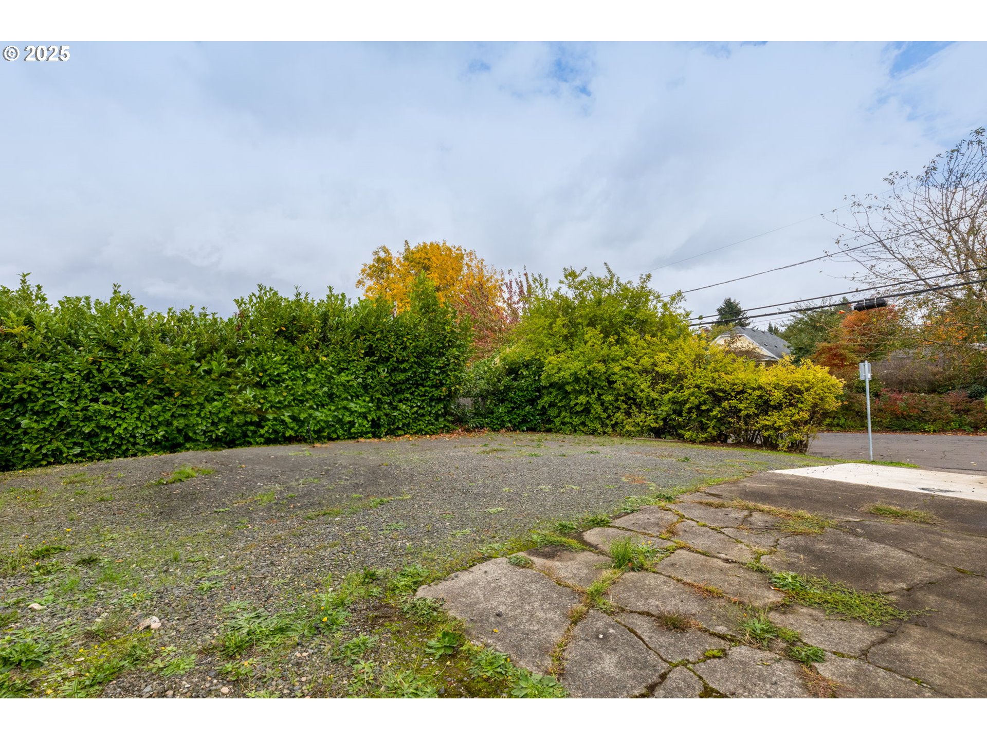 6055 East Burnside Street Portland, OR 97213 - Photo 32 of 32 a view of a yard with potted plants and large tree