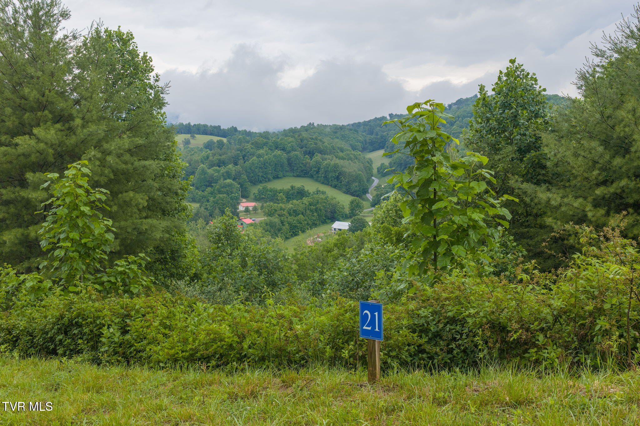 Lot 21 Eagle Rdg Parkway, Unit 21 Butler, TN 37640 - Photo 12 of 17 8-web-or-mls-DJI_20260601140753_0570_D