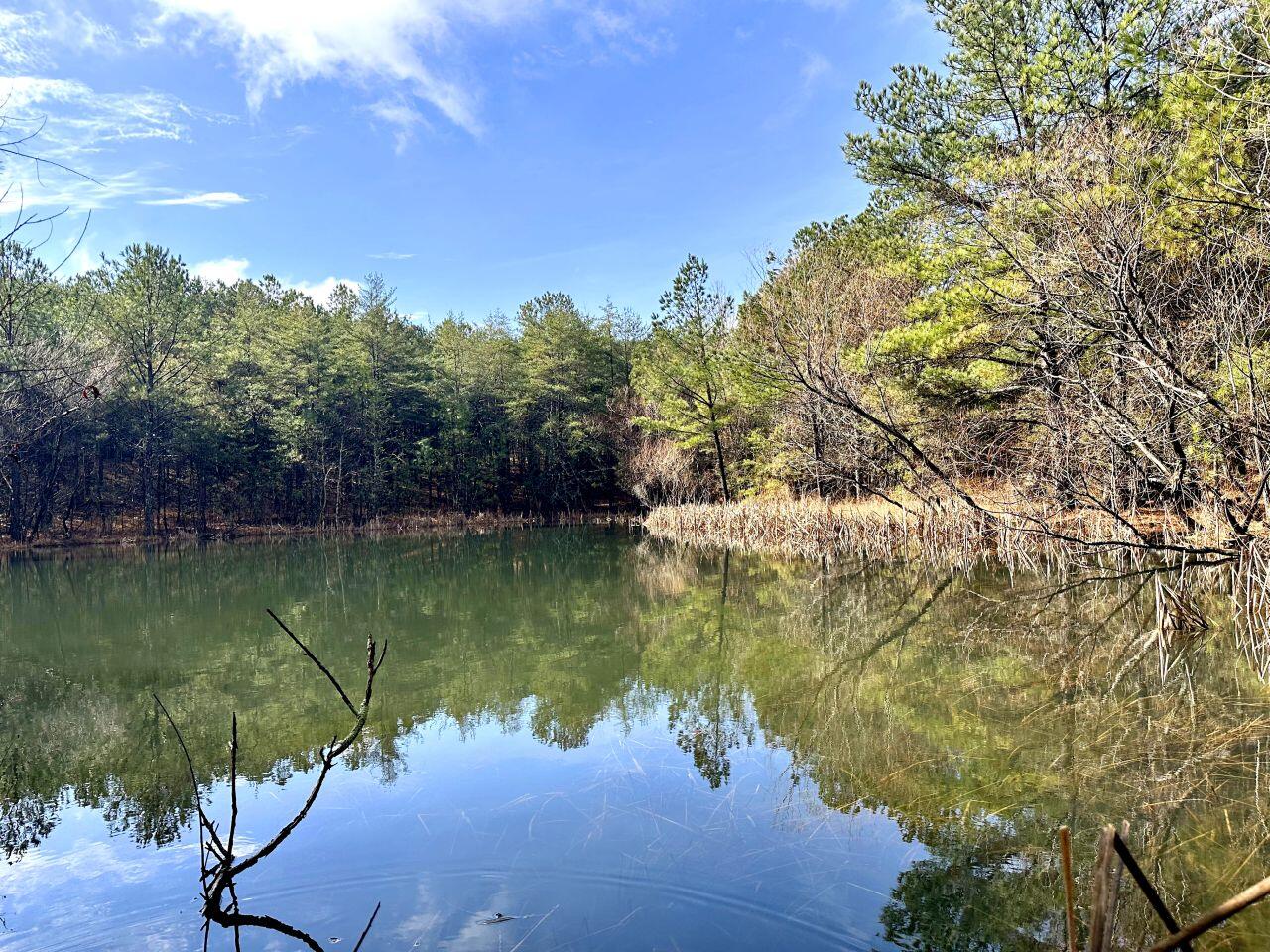 Auction Tract 2 view