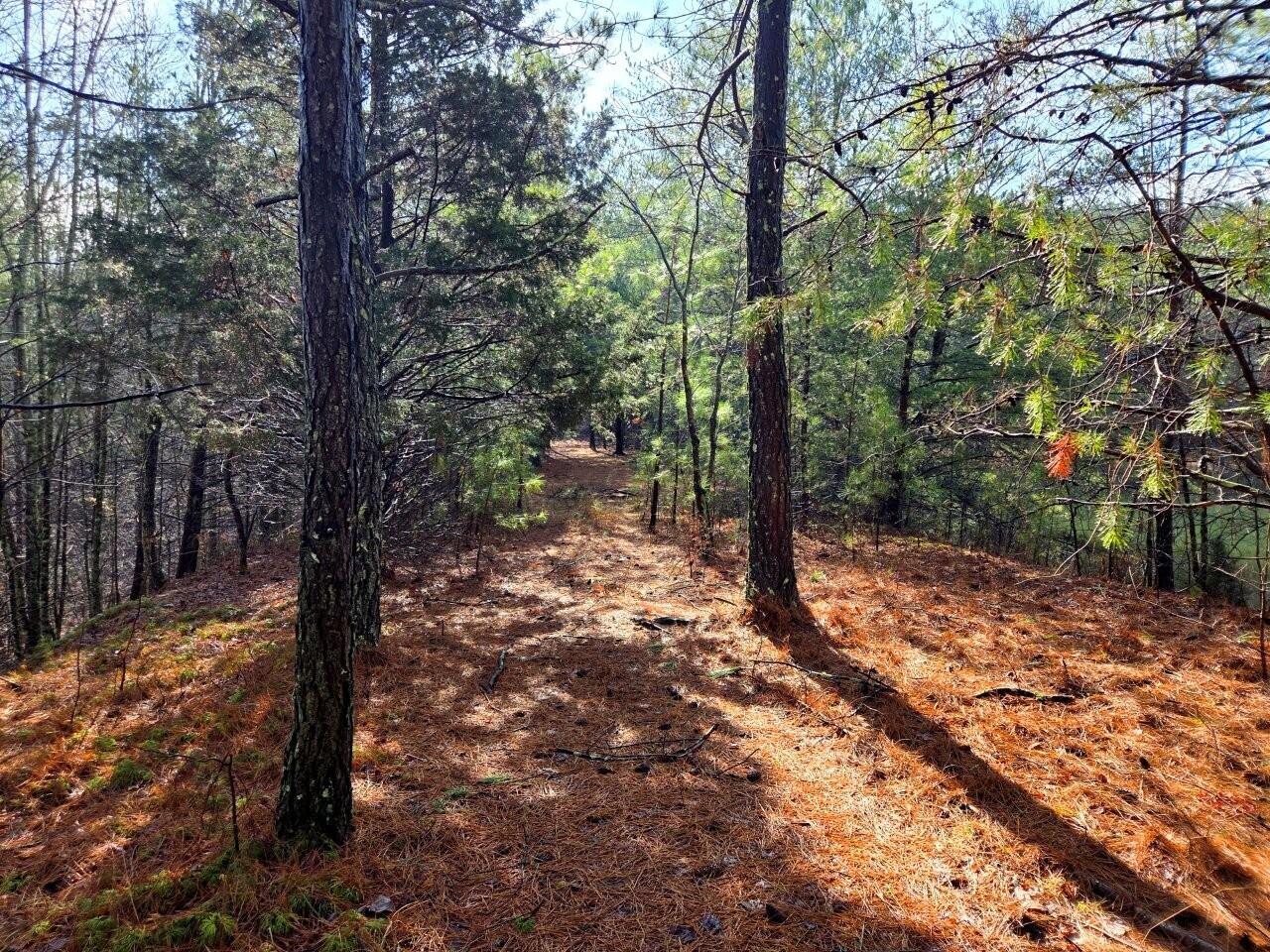 0 Bowater Road Dunlap, TN 37327 - Photo 4 of 5 Tract-02-20260211_095602