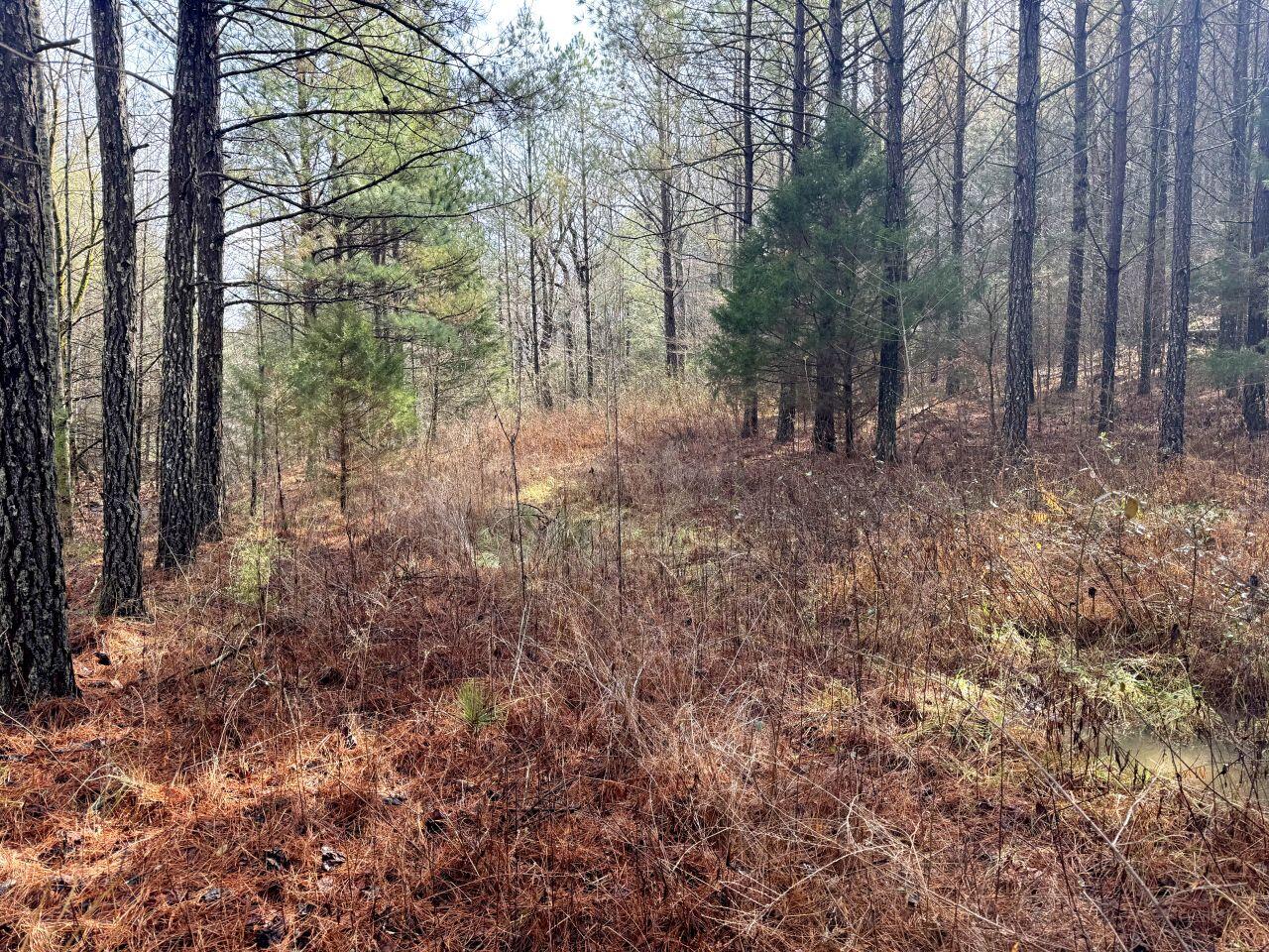 0 Bowater Road Dunlap, TN 37327 - Photo 4 of 4 Auction Tract 2 view