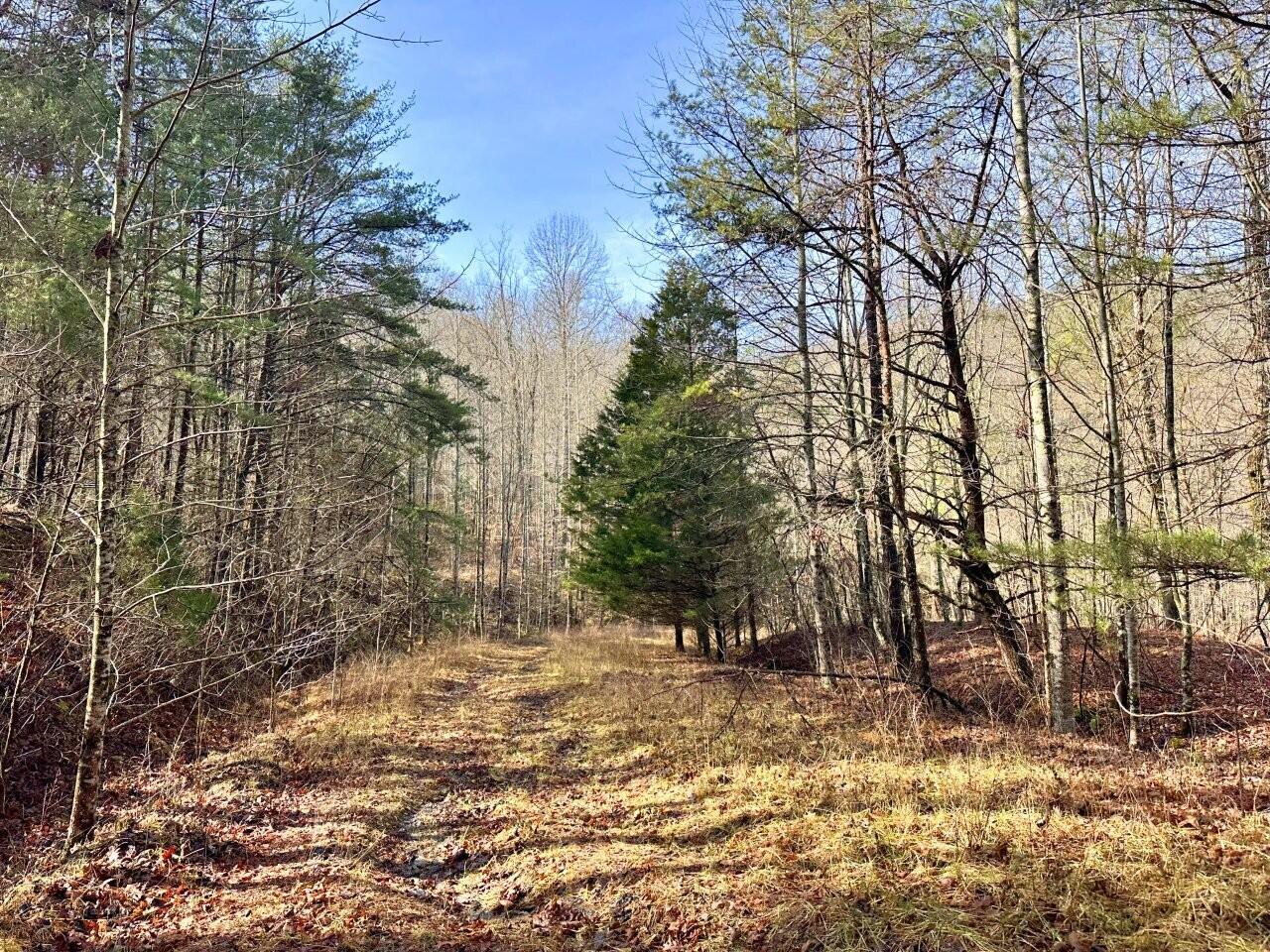 0 Bowater Road Dunlap, TN 37327 - Photo 5 of 5 Tract-02-IMG_2344