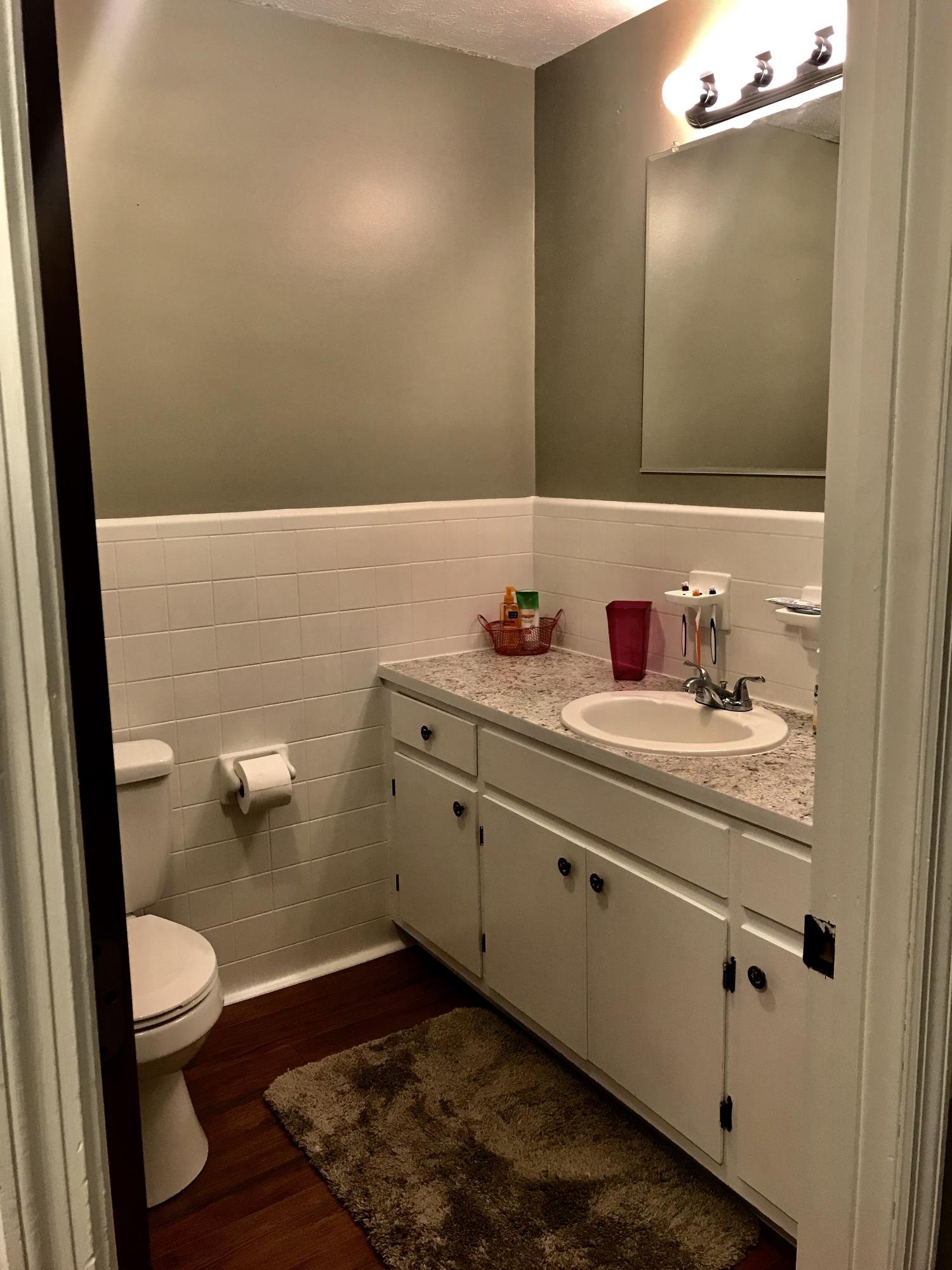 1666 Briar Ridge Road Henry, VA 24102 - Photo 23 of 69 IMG_9642