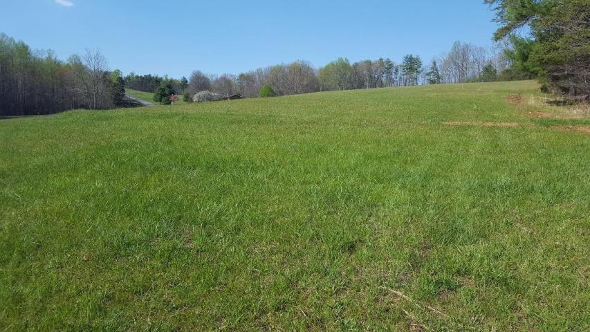 1666 Briar Ridge Road Henry, VA 24102 - Photo 28 of 69 Feild