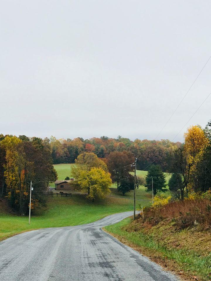 1666 Briar Ridge Road Henry, VA 24102 - Photo 30 of 69 Fall Colors