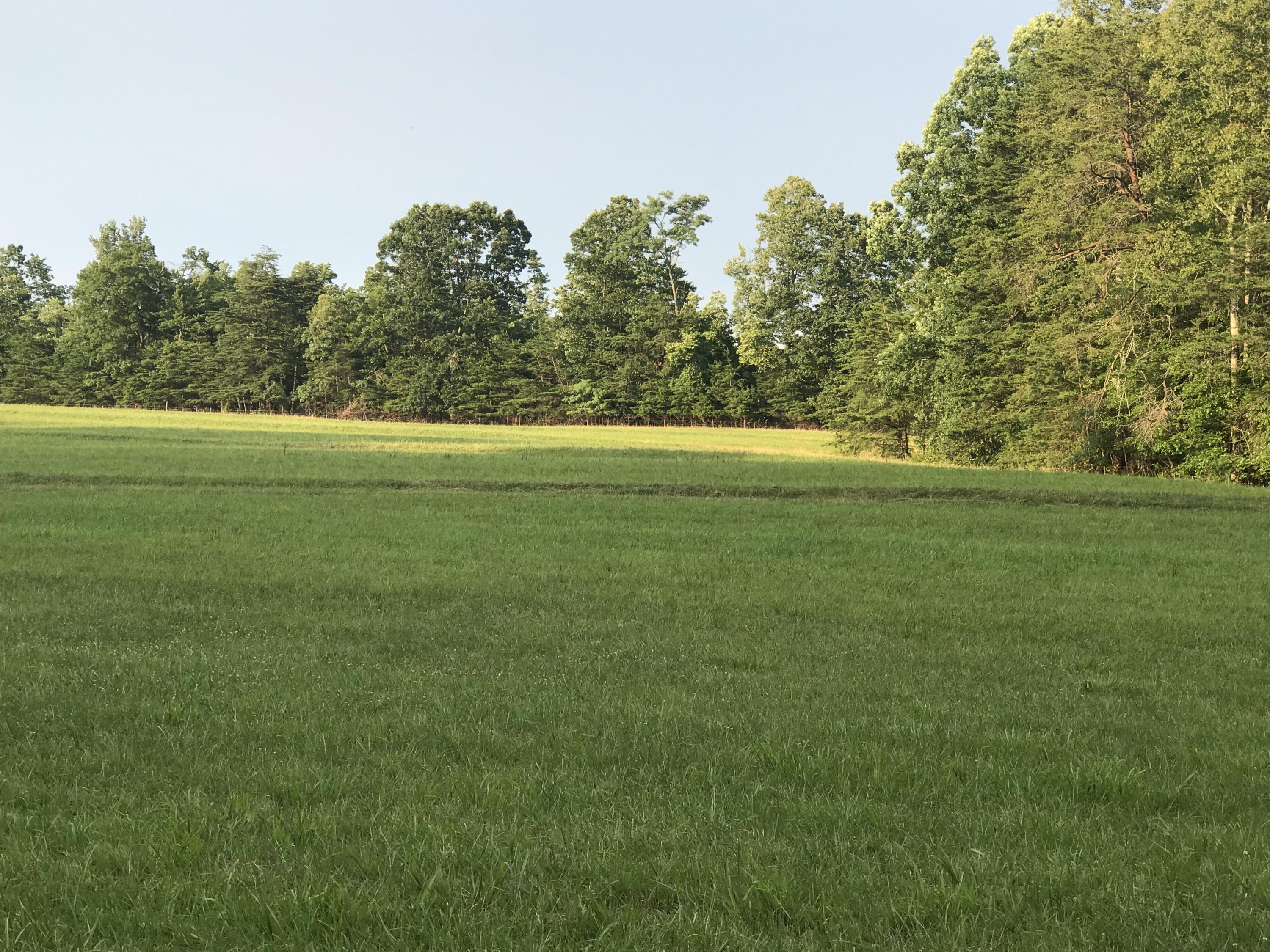 1666 Briar Ridge Road Henry, VA 24102 - Photo 33 of 69 IMG_9664