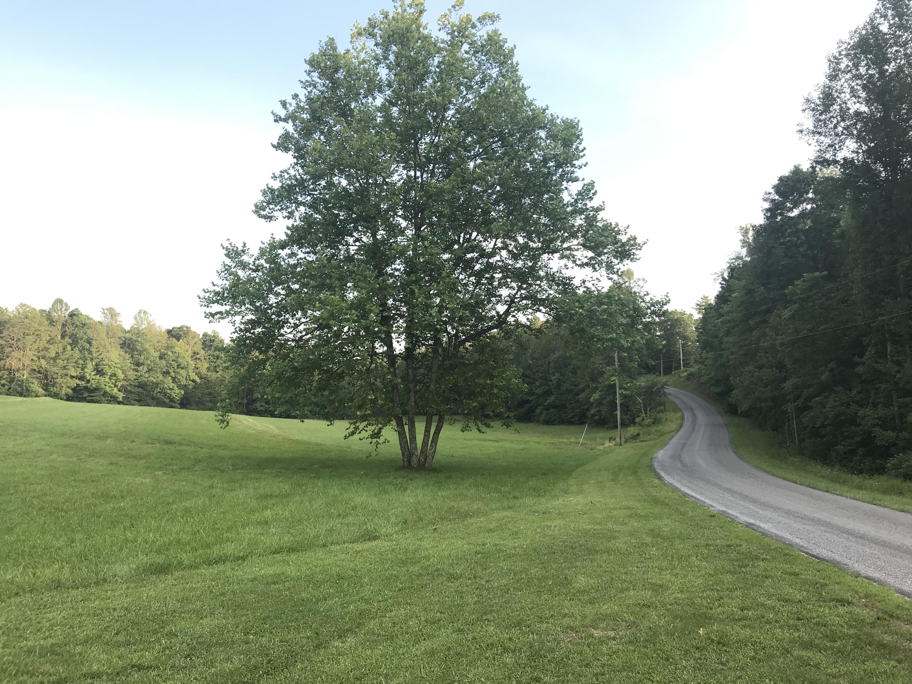 1666 Briar Ridge Road Henry, VA 24102 - Photo 36 of 69 IMG_9668
