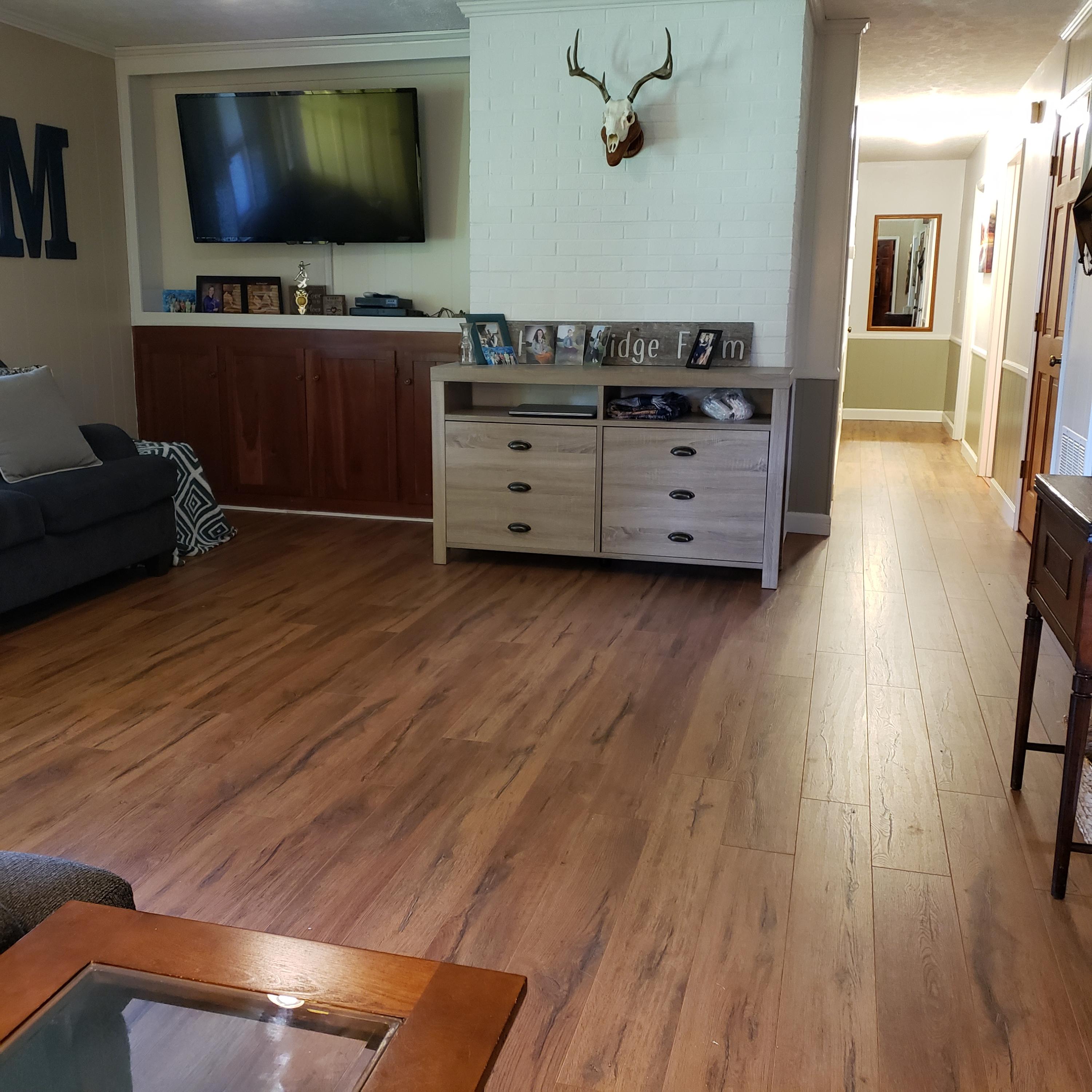 1666 Briar Ridge Road Henry, VA 24102 - Photo 6 of 69 20190619_100157