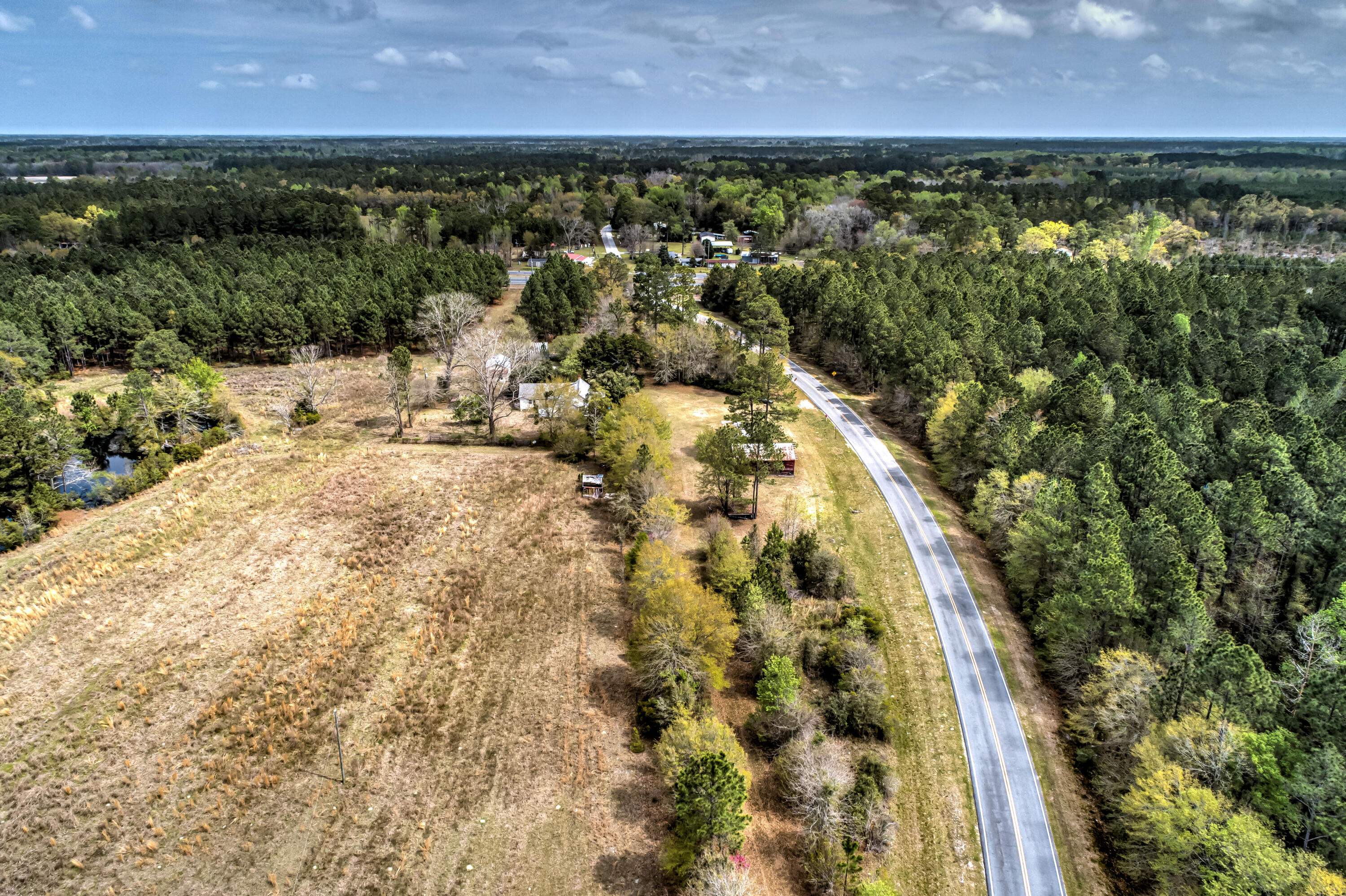 166 Oliver Kildare Road Newington, GA 30446 - Photo 9 of 19 Oliver Kildaire Rd, 166, 150ft View, Dro