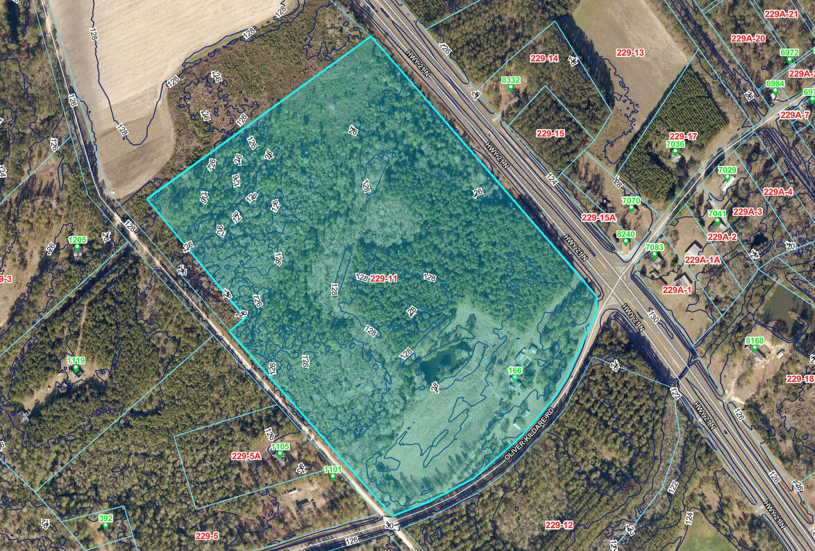 166 Oliver Kildare Road Newington, GA 30446 - Photo 4 of 19 2 Foot Contour lines