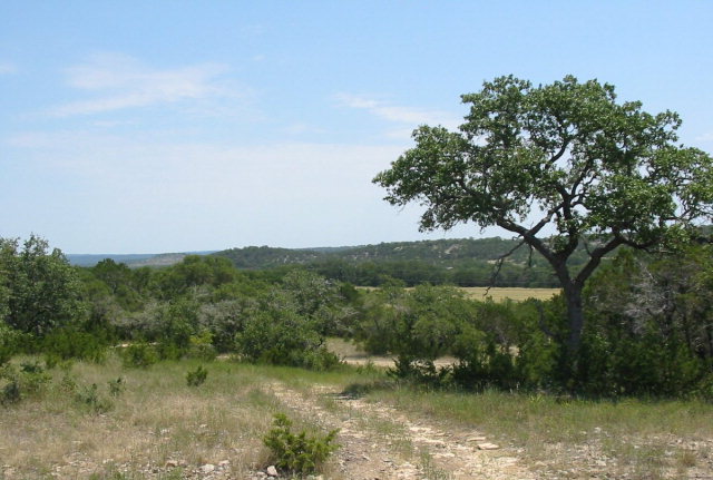 0 Horton Preiss Road, Unit 6 Blanco, TX 78606 - Photo 1 of 1 Main View