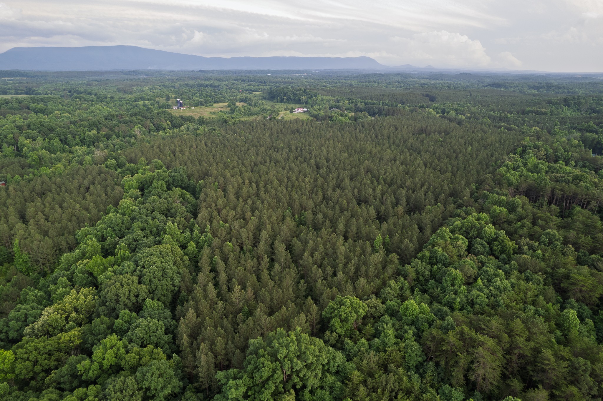 0 County Road 966 Calhoun, TN 37309 - Photo 1 of 6