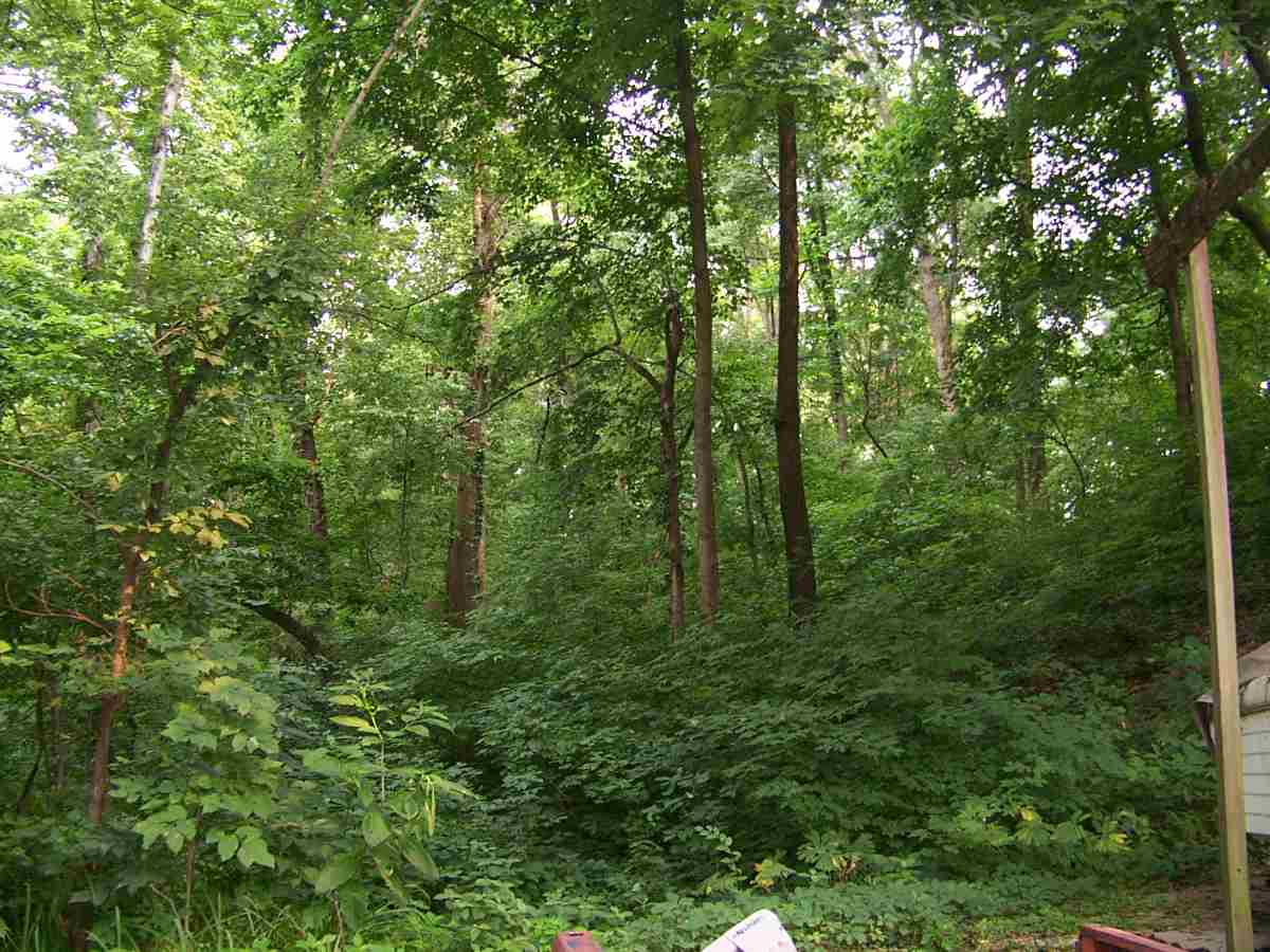 Gallery Image 6