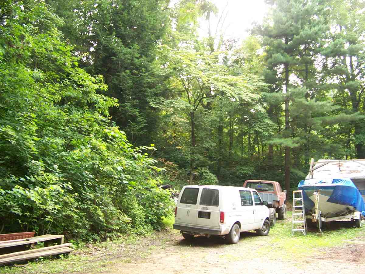 Gallery Image 7