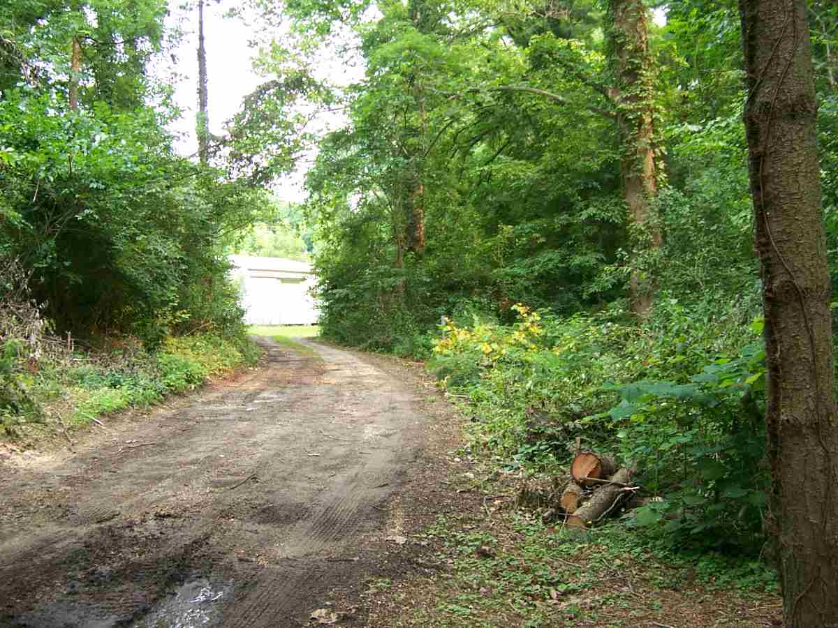 1810 Mackey Ferry Road Mount Vernon, IN 47620 - Photo 10 of 29 Gallery Image 10