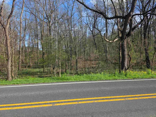 $139,000 | Tbd Scenic Highway North, Churchville, VA 24421