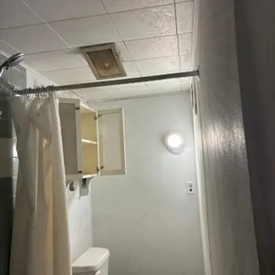 a bathroom with a shower and toilet