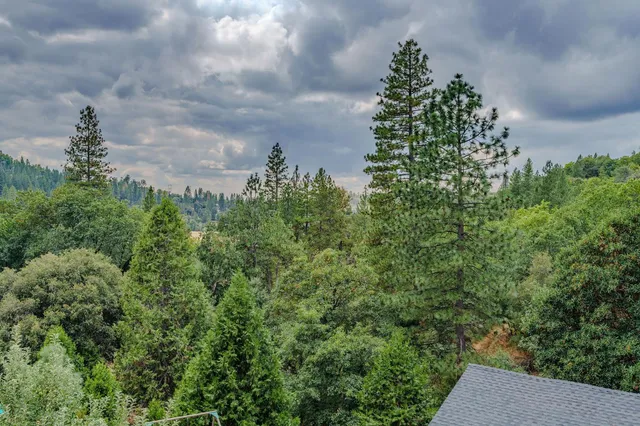 $314,900 | 16001 Cedar Heights Drive North, Pioneer, CA 95666