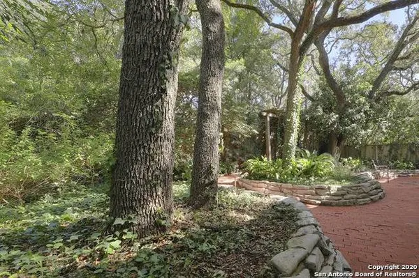 a view of a garden with trees