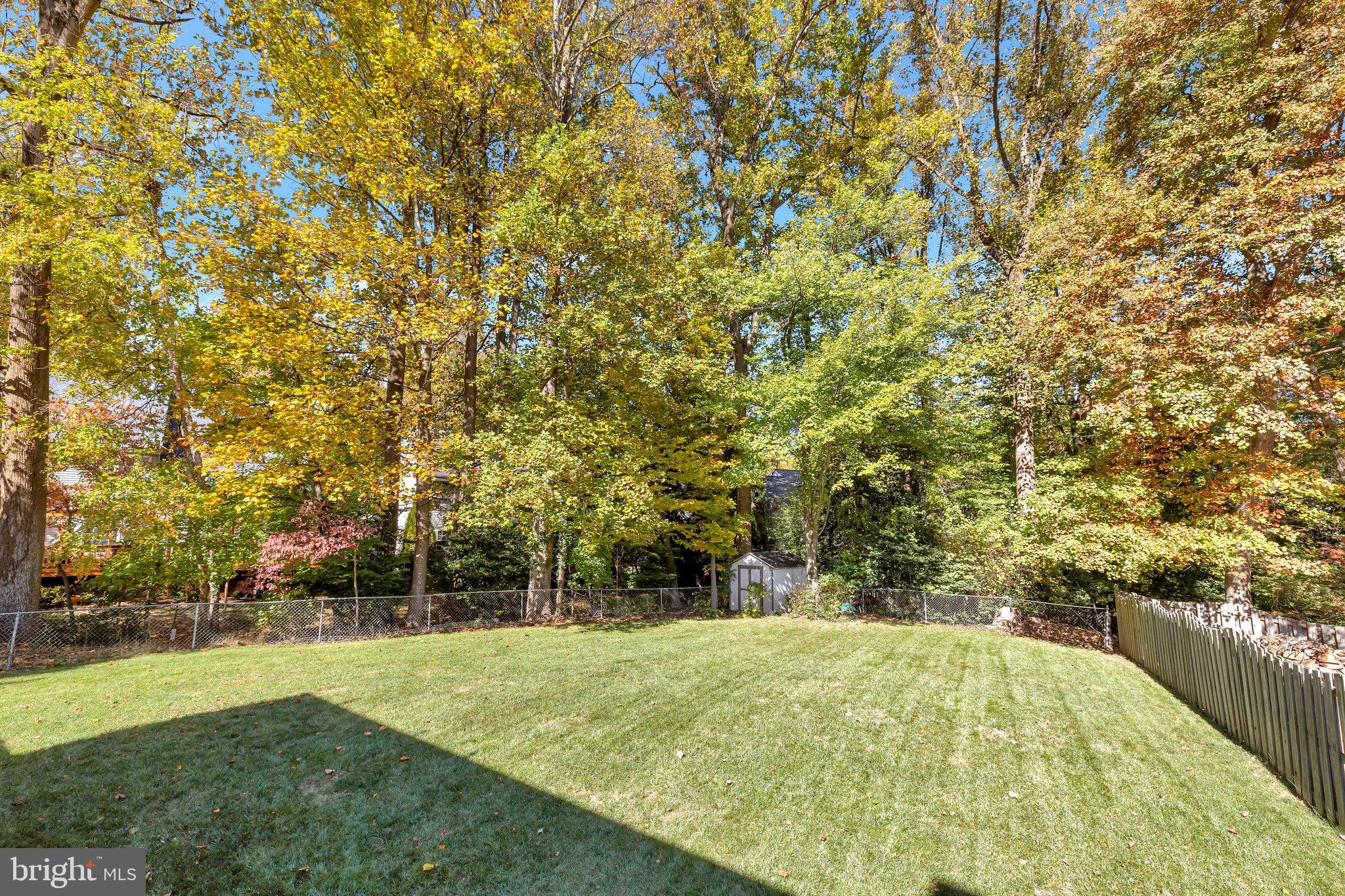 9826 Five Oaks Road Fairfax, VA 22031 - Photo 40 of 43 Large Flat Back Yard