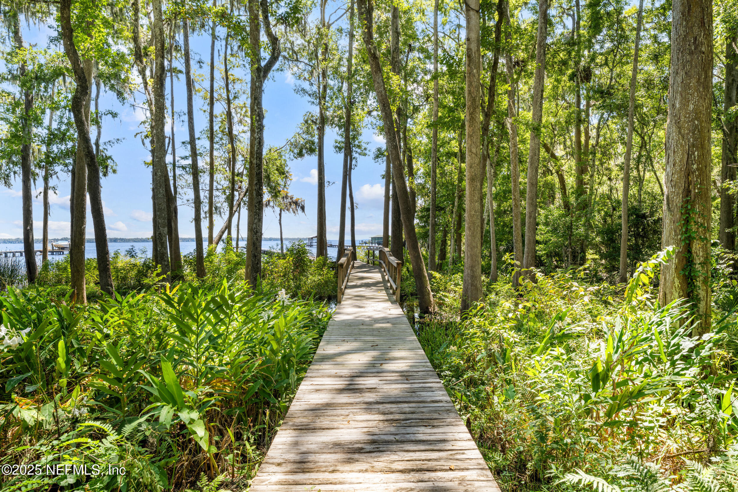686 Frederic Drive Fleming Island, FL 32003 - Photo 44 of 57 a view of a garden with pathway