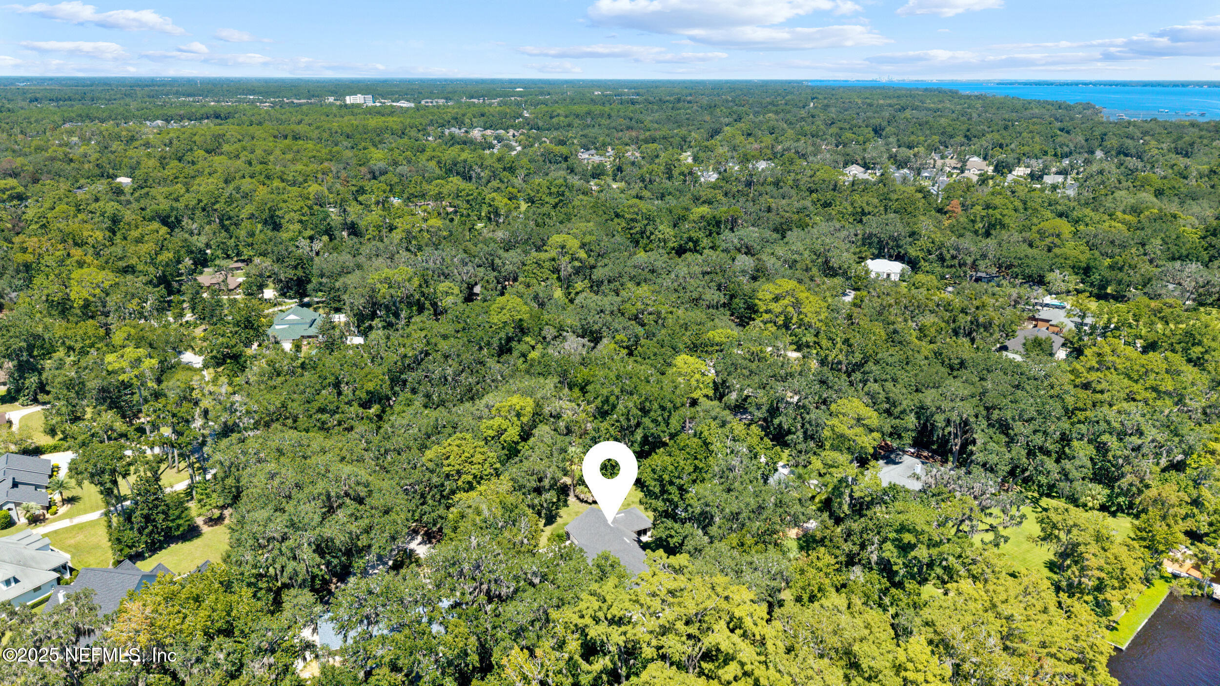 686 Frederic Drive Fleming Island, FL 32003 - Photo 51 of 57 a view of a big yard with plants and large trees