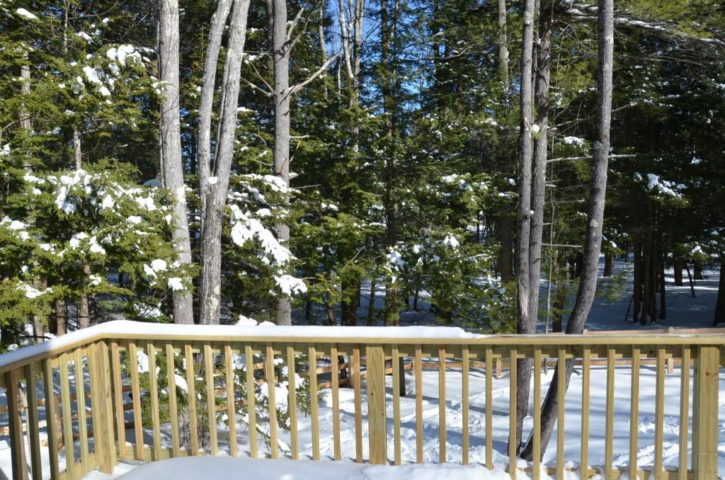 51 Longwoods Road Falmouth, ME 04105 - Photo 19 of 20 Photo
